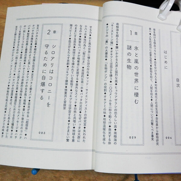 アシュリー・ウォード『動物のひみつ』