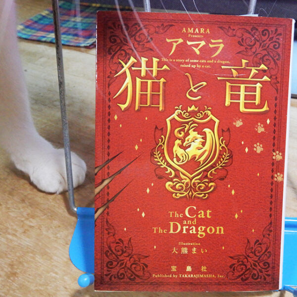 アマラ『猫と竜』