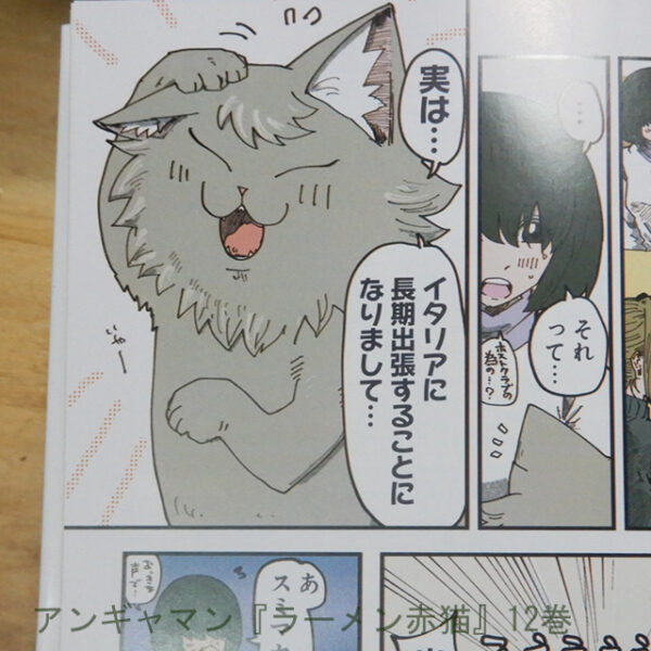 アンギャマン『ラーメン赤猫』12巻