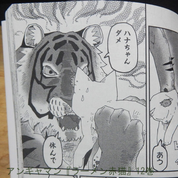 アンギャマン『ラーメン赤猫』12巻