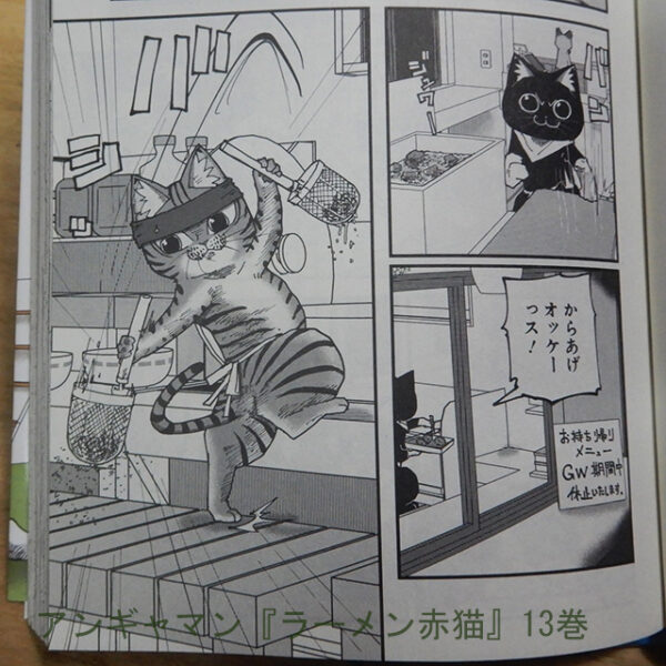 アンギャマン『ラーメン赤猫』13巻