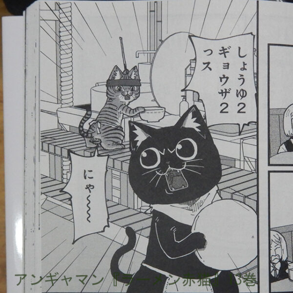 アンギャマン『ラーメン赤猫』13巻