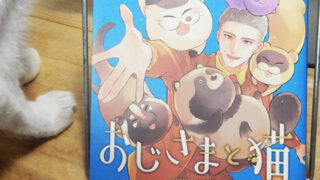 桜井海『おじさまと猫』第17巻