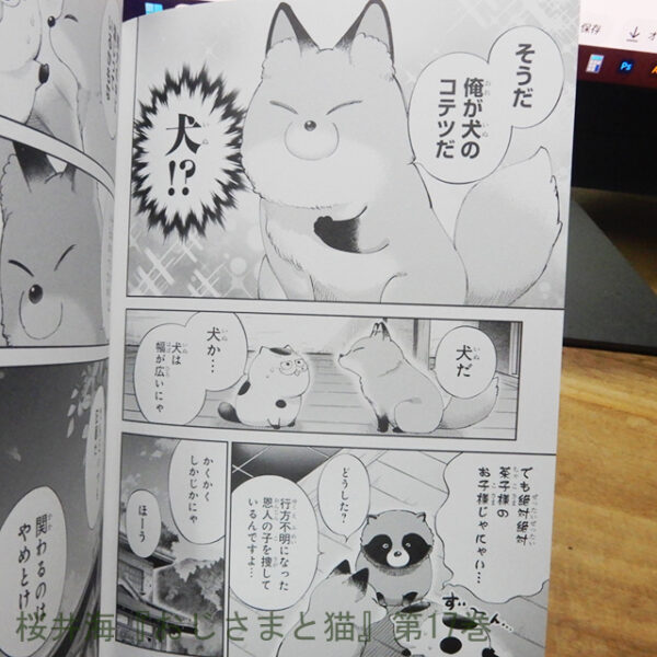桜井海『おじさまと猫』第17巻