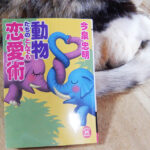 今泉忠明『動物たちのとんでも恋愛術』