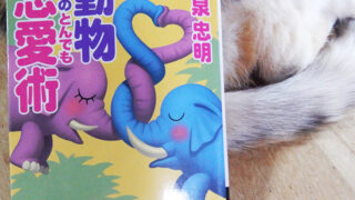 今泉忠明『動物たちのとんでも恋愛術』