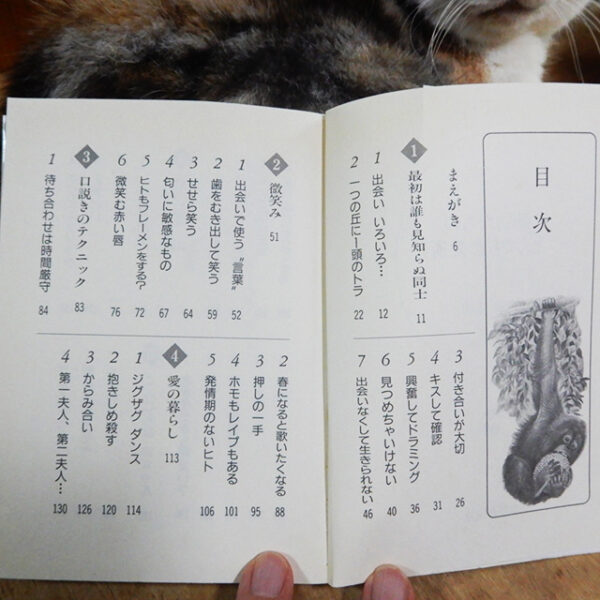 今泉忠明『動物たちのとんでも恋愛術』