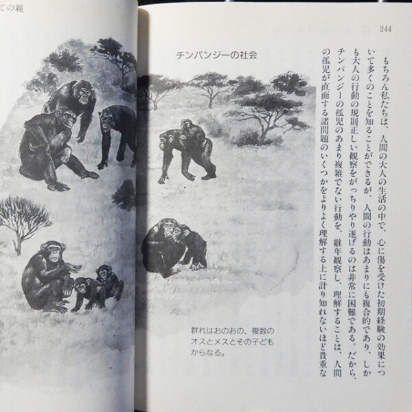 今泉忠明『動物たちのとんでも恋愛術』